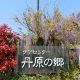 2025年4月の行事、5月のカレンダー　デイサービス丹原の郷